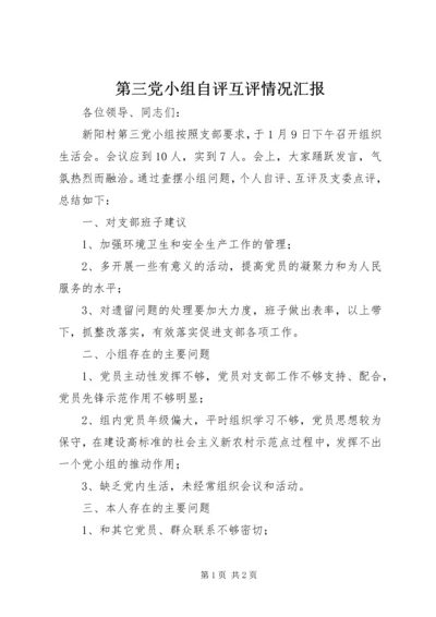 第三党小组自评互评情况汇报.docx