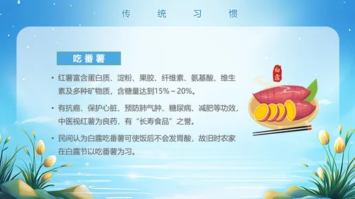 美丽的梦幻传统节气白露PPT模板