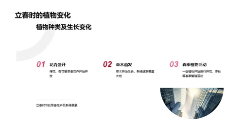 立春：自然与文化融合