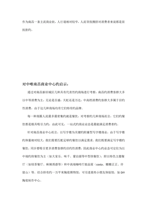 南昌商业市场调查报告.docx