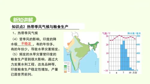 8.3 印度（课件35张）-2024-2025学年七年级地理下学期人教版(2024)