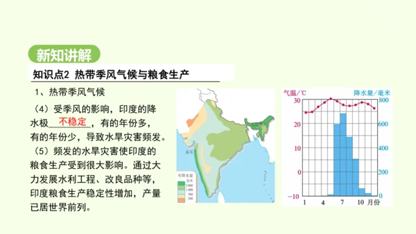 8.3 印度（课件35张）-2024-2025学年七年级地理下学期人教版(2024)