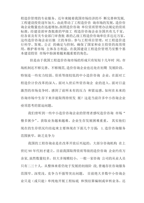 工程造价咨询公司策划书.docx