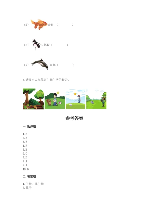 教科版二年级上册科学期末测试卷精品（名师推荐）.docx