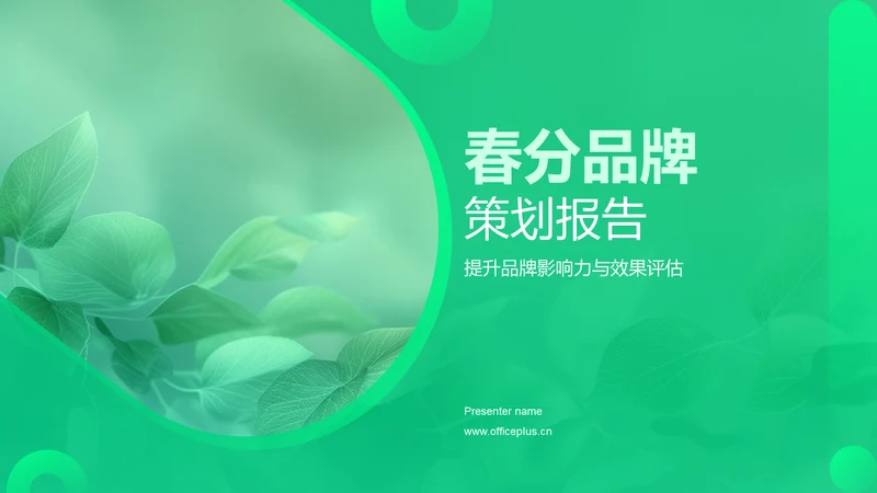 春分品牌策划报告