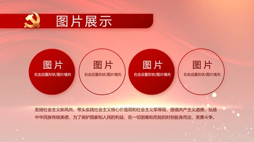 党支部党员大会年终工作总结汇报PPT