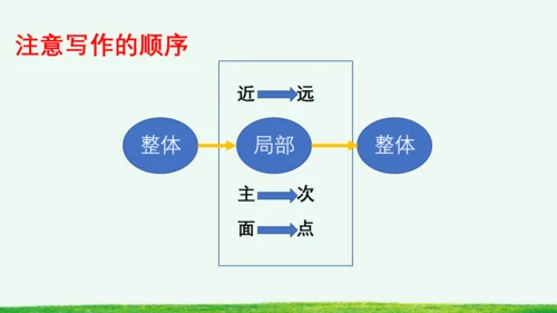 习作：看图画，写一写