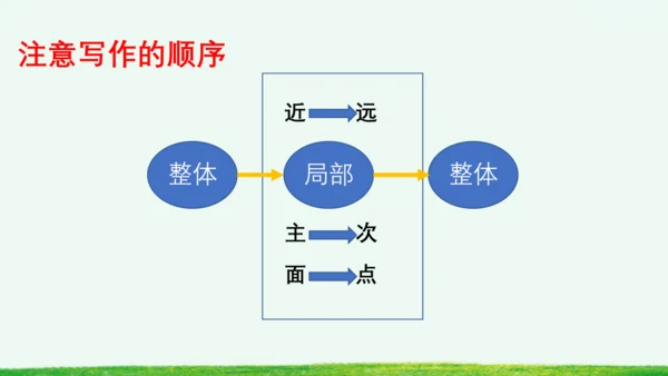习作：看图画，写一写
