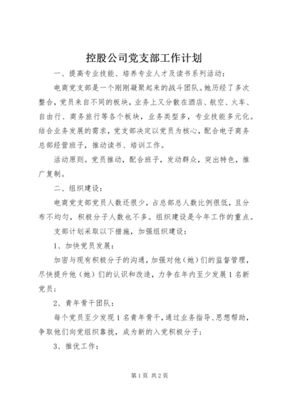 控股公司党支部工作计划.docx