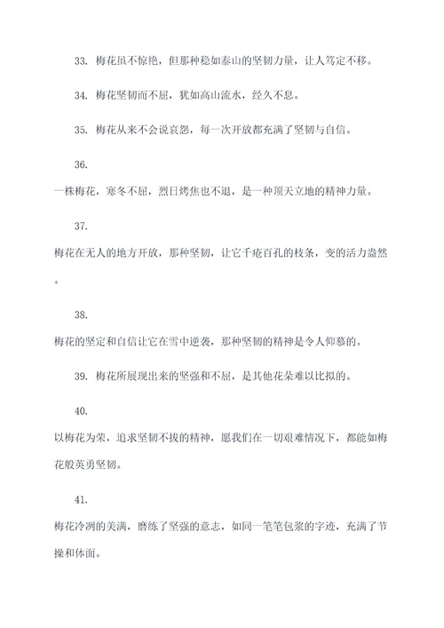 梅花坚韧不拔的名言名句