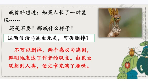4昆虫备忘录   课件