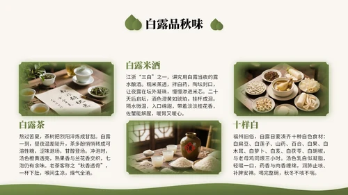 橄榄绿中国风二十四节气之白露节气知识讲座PPT模版