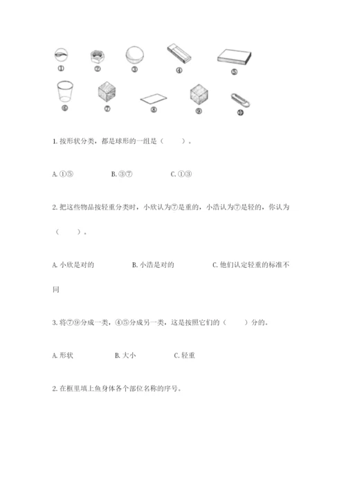 教科版一年级下册科学期末测试卷（预热题）.docx