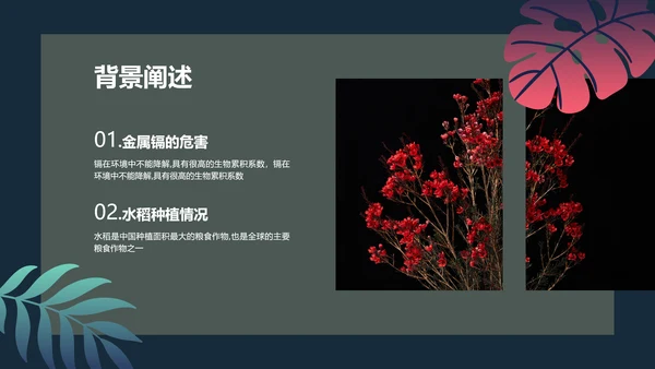 手绘插画风植物与污染研究总结报告