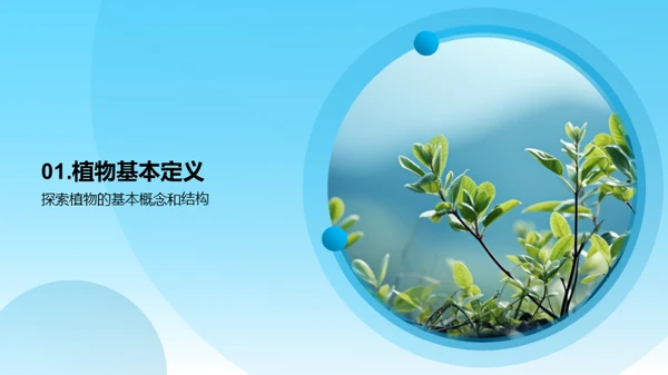 探索植物的奥秘
