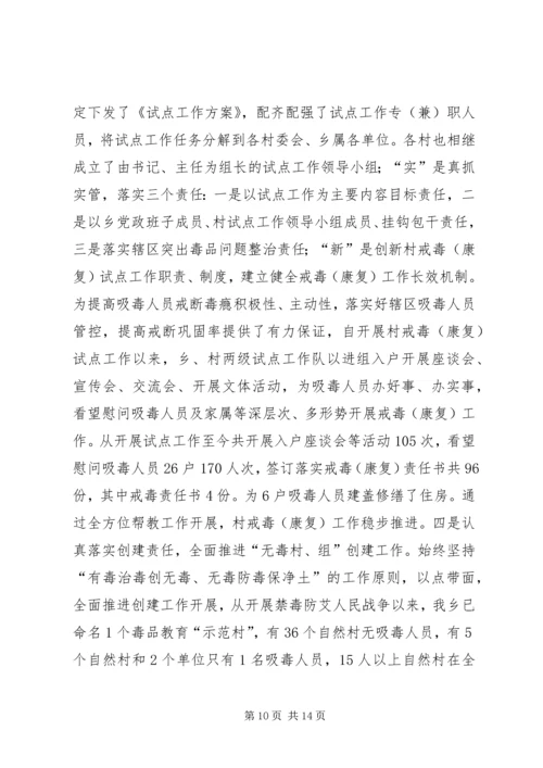 乡镇综治维护及禁毒防艾工作汇报.docx