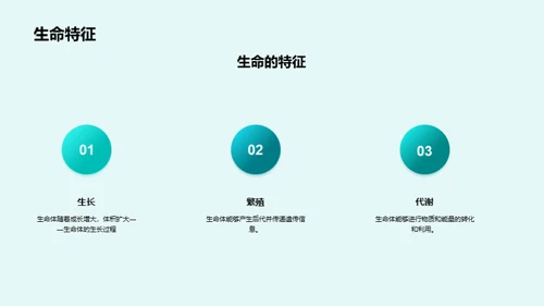 3D风教育培训教学课件PPT模板