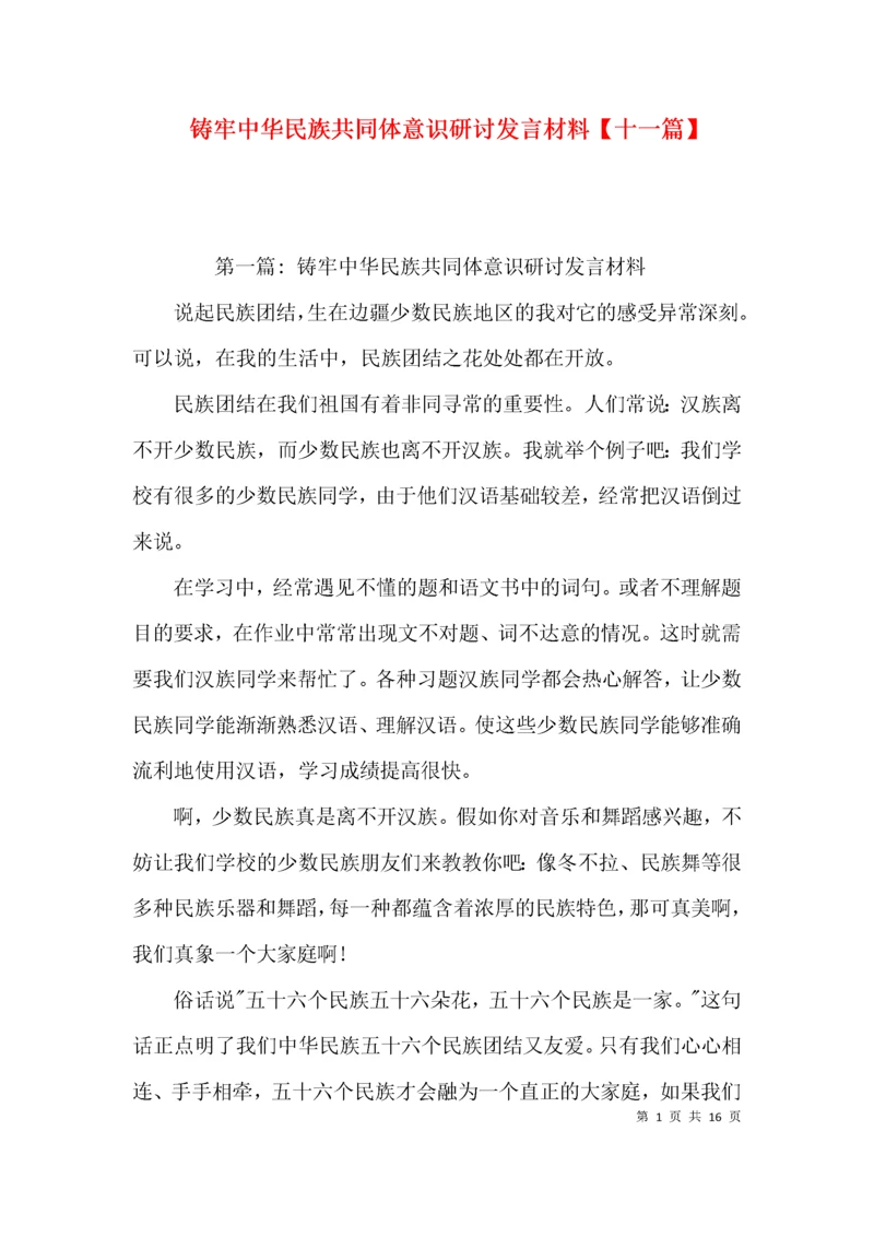 铸牢中华民族共同体意识研讨发言材料【十一篇】.docx