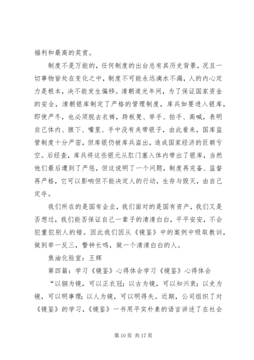 镜鉴学习心得体会2_1.docx