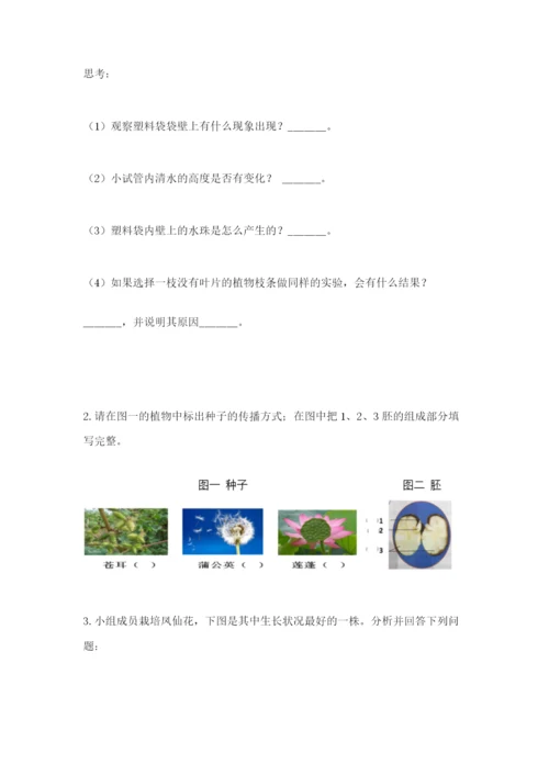 科学四年级下册第一单元植物的生长变化测试卷及参考答案（满分必刷）.docx