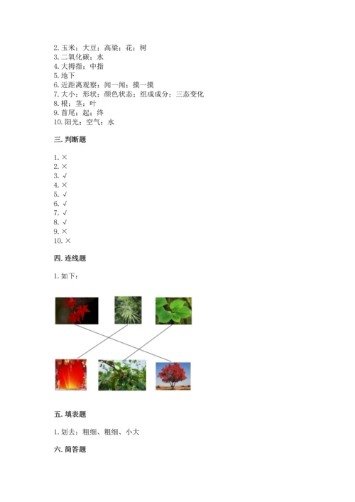 教科版一年级上册科学期末测试卷【能力提升】.docx