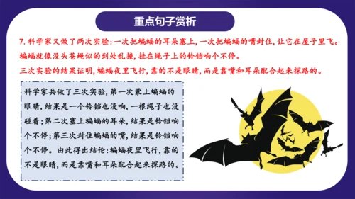 统编版语文四年级上册第二单元（复习课件）