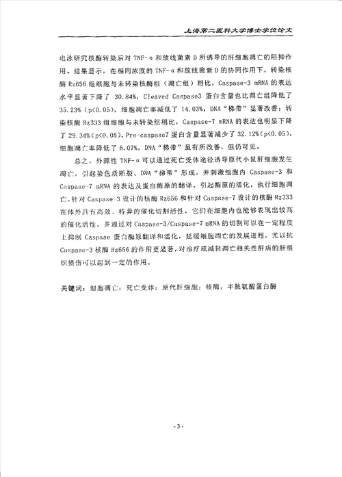 锤头状核酶的活性鉴定与抗凋亡作用分析