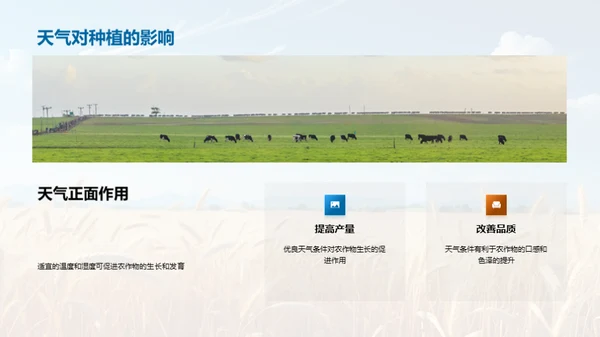 农业产量季度报告