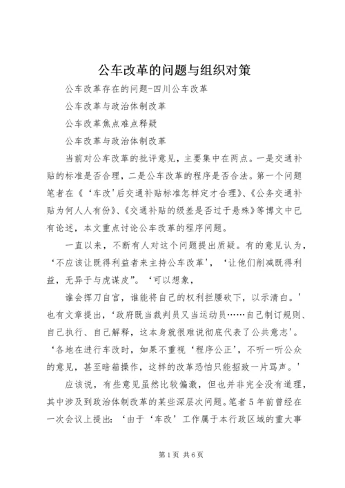 公车改革的问题与组织对策 (2).docx