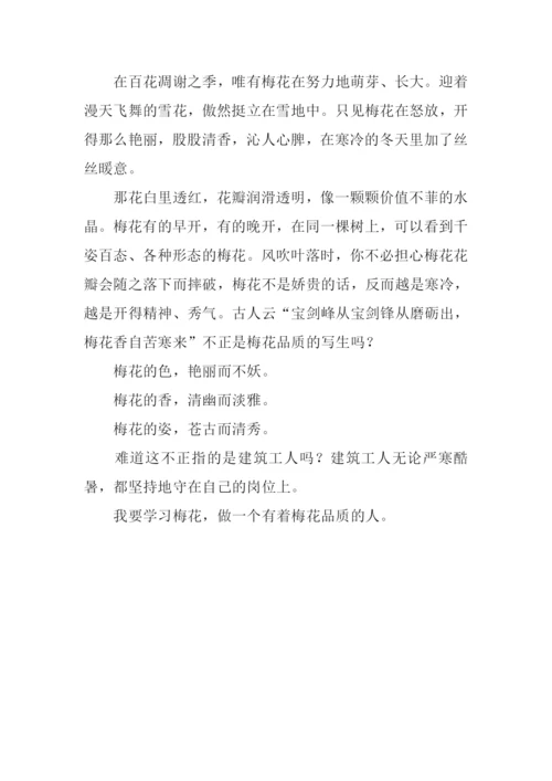 梅花的作文-10.docx