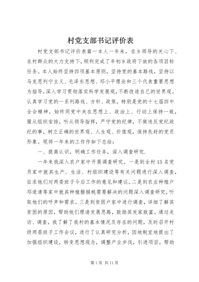 村党支部书记评价表.docx