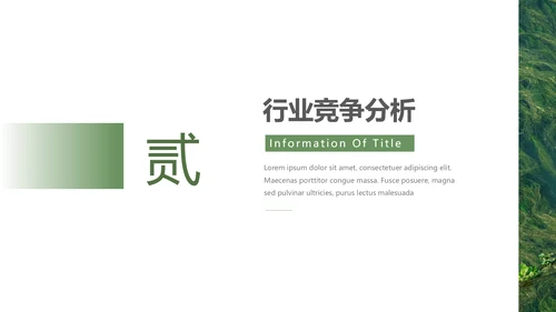 绿色自然风品牌形象策划PPT模板