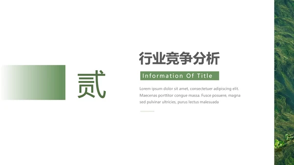 绿色自然风品牌形象策划PPT模板