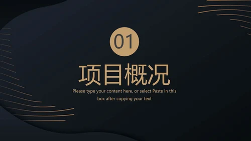 高端融资产品PPT计划书
