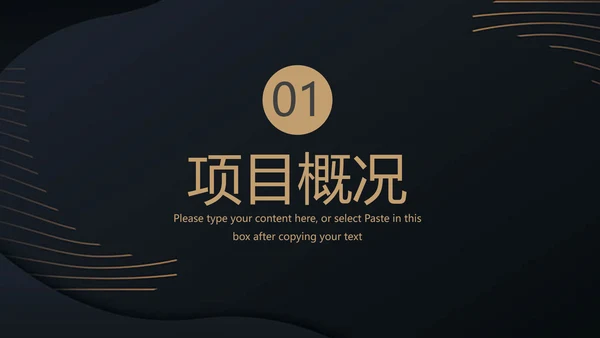 高端融资产品PPT计划书