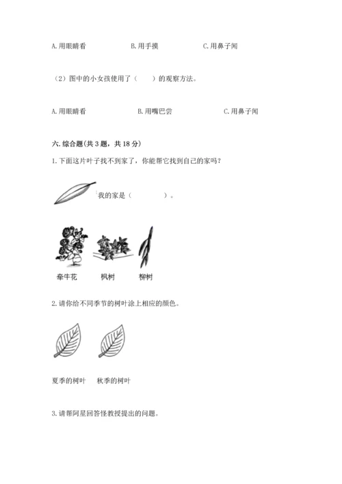 教科版一年级上册科学期末测试卷精品加答案.docx