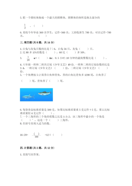 小学六年级下册数学期末卷（考试直接用）.docx