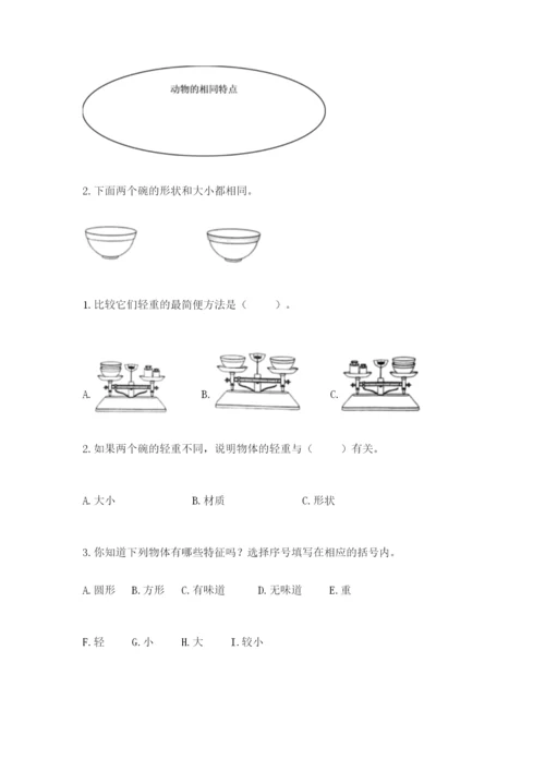 教科版一年级下册科学期末测试卷【典优】.docx