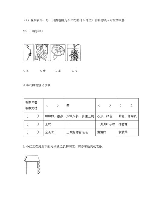 教科版科学一年级上册期末测试卷（综合卷）.docx