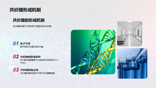 化学键的形成和断裂