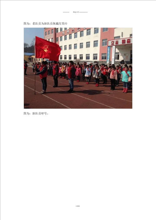 少先队新队员入队活动方案及总结