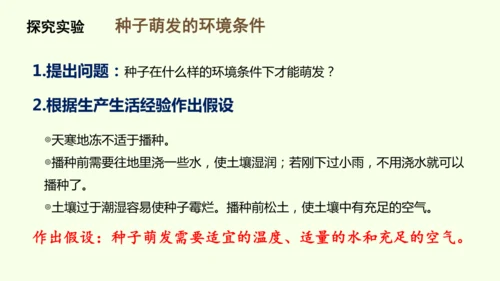 3.1.1 种子的萌发-七年级生物下学期同步精品课件（2024人教版）(共25张PPT)