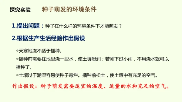 3.1.1 种子的萌发-七年级生物下学期同步精品课件（2024人教版）(共25张PPT)