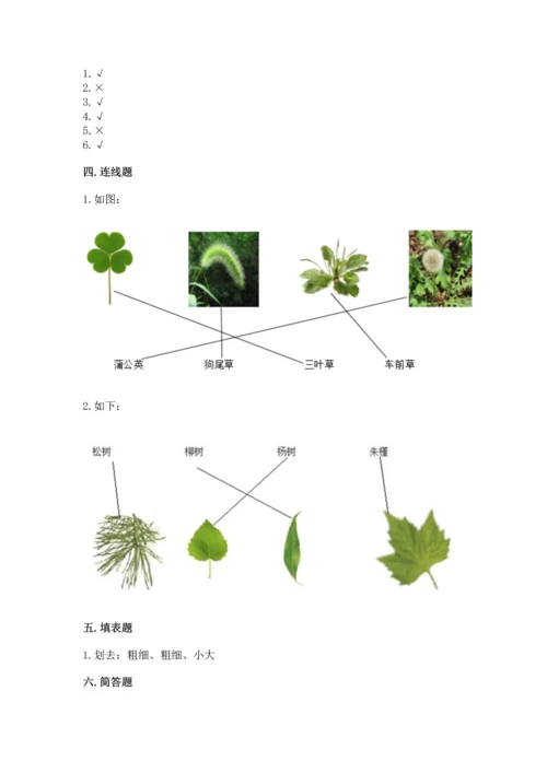 教科版科学一年级上册第一单元《植物》测试卷含完整答案（名师系列）.docx