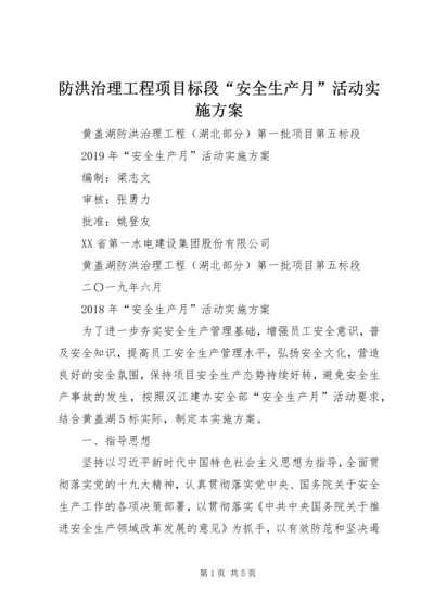 防洪治理工程项目标段“安全生产月”活动实施方案.docx