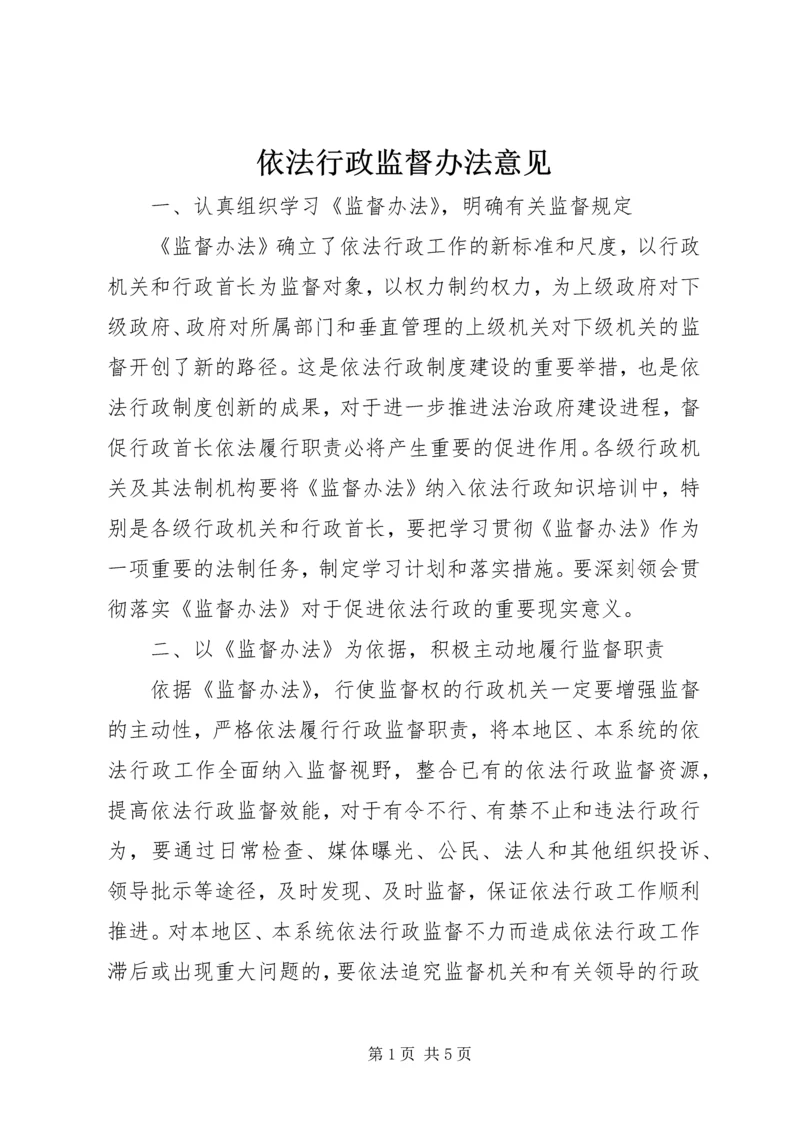 依法行政监督办法意见.docx