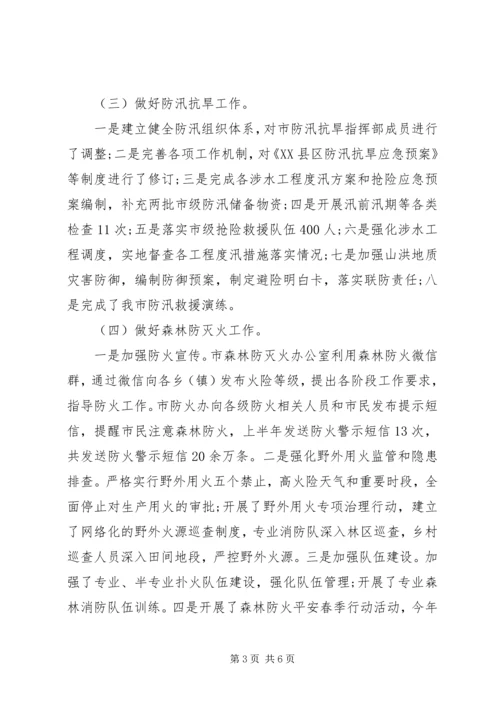 应急管理局XX年上半年工作总结和下步工作计划.docx