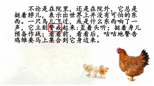 母鸡 第五稿