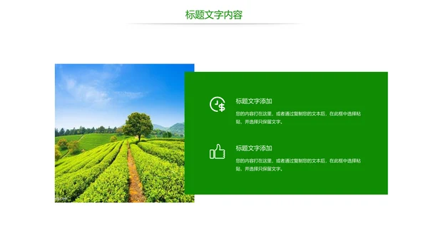 绿色唯美茶园艺术品茶文化茶园PPT模板