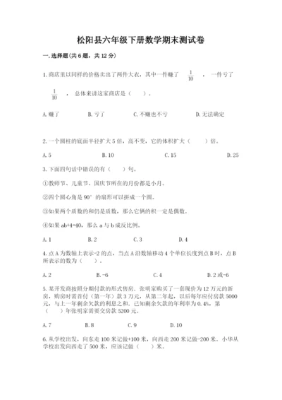 松阳县六年级下册数学期末测试卷一套.docx